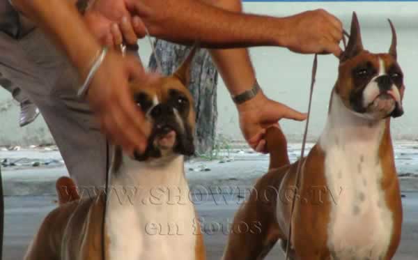 Clique sobre a foto para fechar